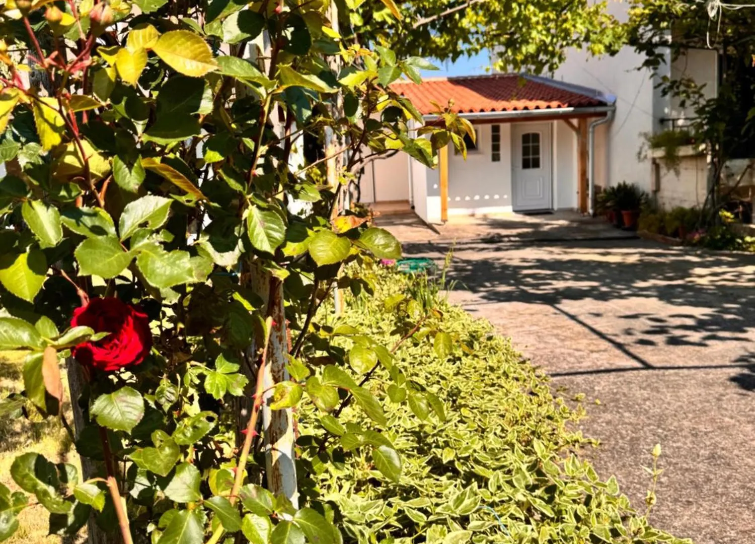 Vakantiehuis Casa Della Tartaruga Villa Valbandon