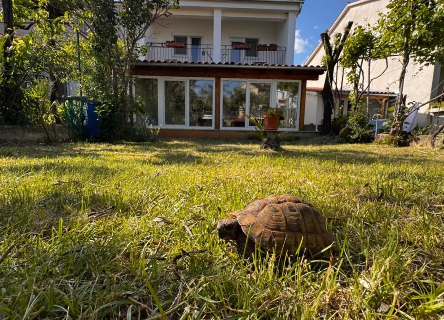 Casa Della Tartaruga Villa Valbandon Vakantiehuis